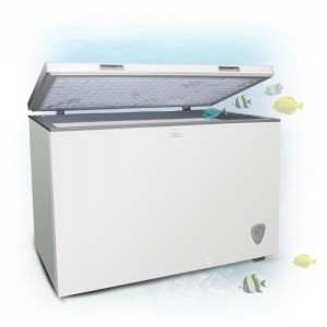 D fridge store 300 litre