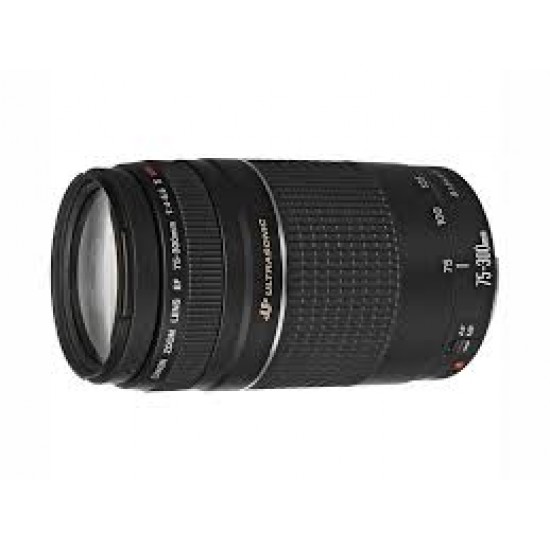 Canon EF 75-300mm Digital SLR Camera Lens