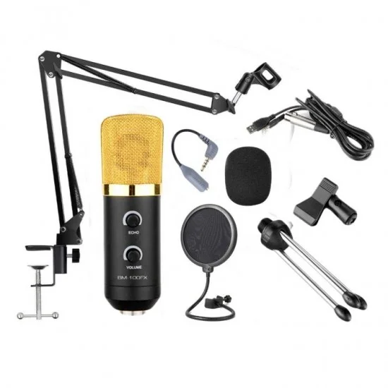 Bm Fx Condenser Studio Microphone Combo Offer Studio Setup