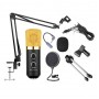 BM-100FX Condenser Studio Microphone Combo Offer (Studio Setup)