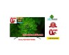 65 Inch Sony KD-65X7000G 4K Ultra HD Smart LED TV