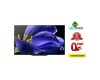 65 Inch Sony XBR-65A9G MASTER Series BRAVIA