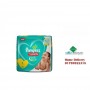 Pampers (PM0038) Baby Dry Pants Diaper S 4-8kg - 20 Pieces